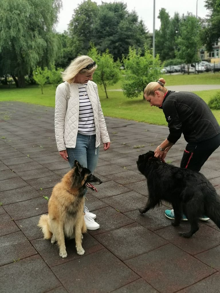 Dvi moterys kieme su dviem šunimis per kaniterapijos užsiėmimą